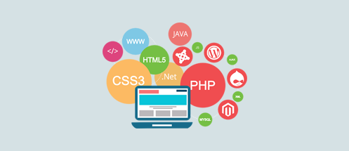 Web Designer ve Web Developer Arasındaki Farklar?