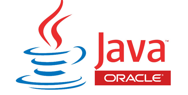 Java Nedir?