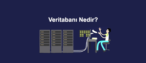 Veritabanı Nedir? Çeşitleri Nelerdir?