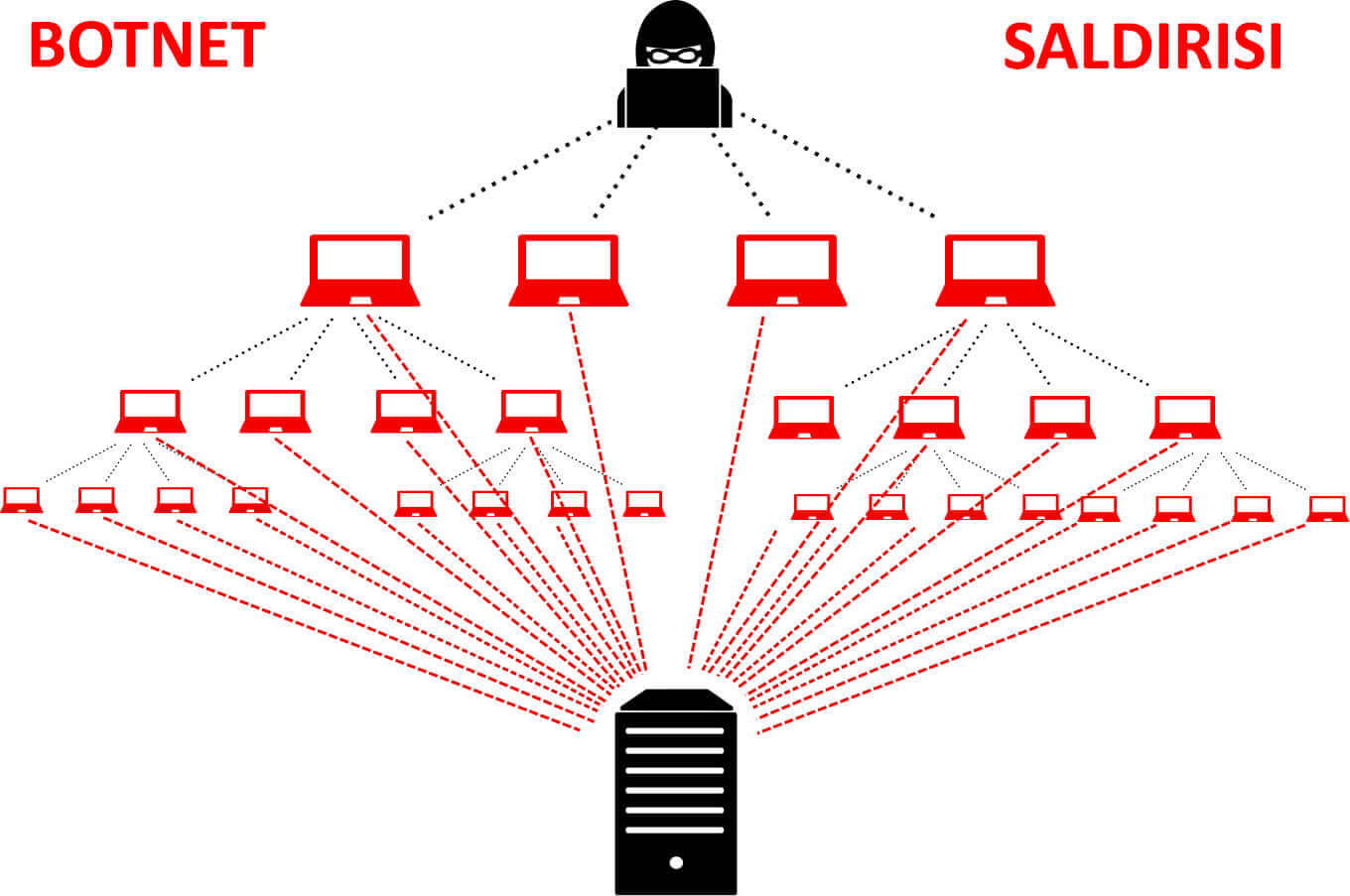 Botnet Saldırısı