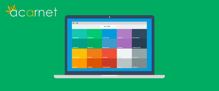 Üniversite Web Sayfaları