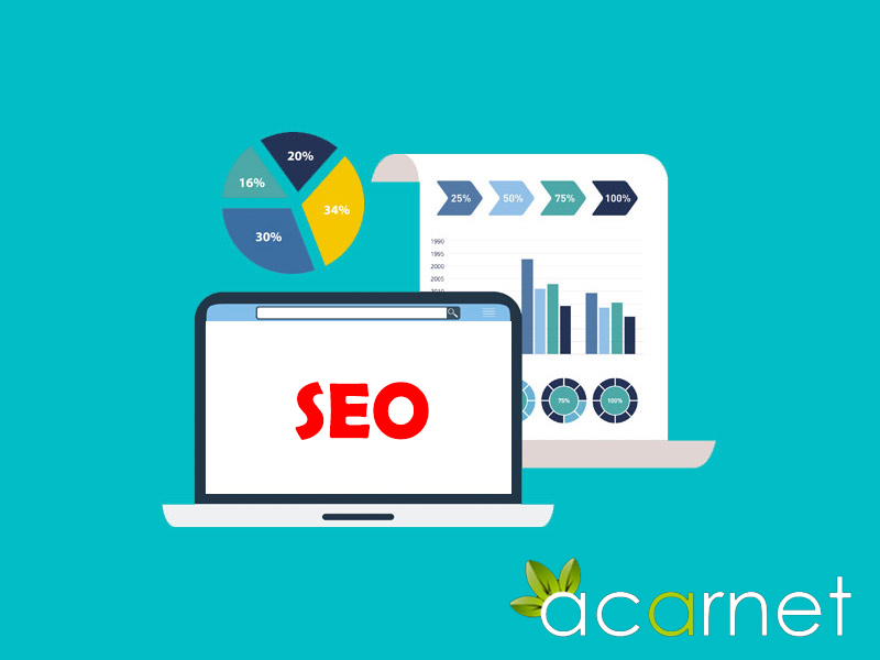 Üniversite Web Sayfaları